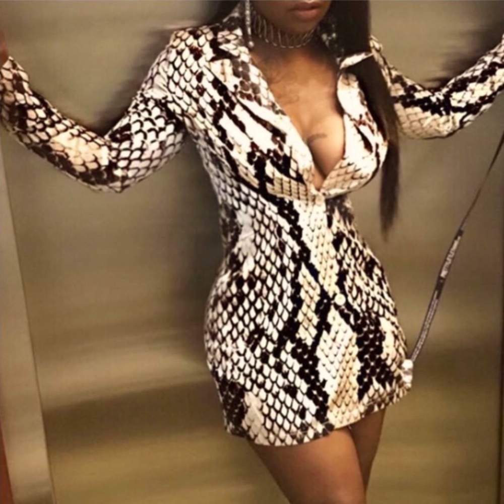 Snake Print, long Sleeve, Mini Dress